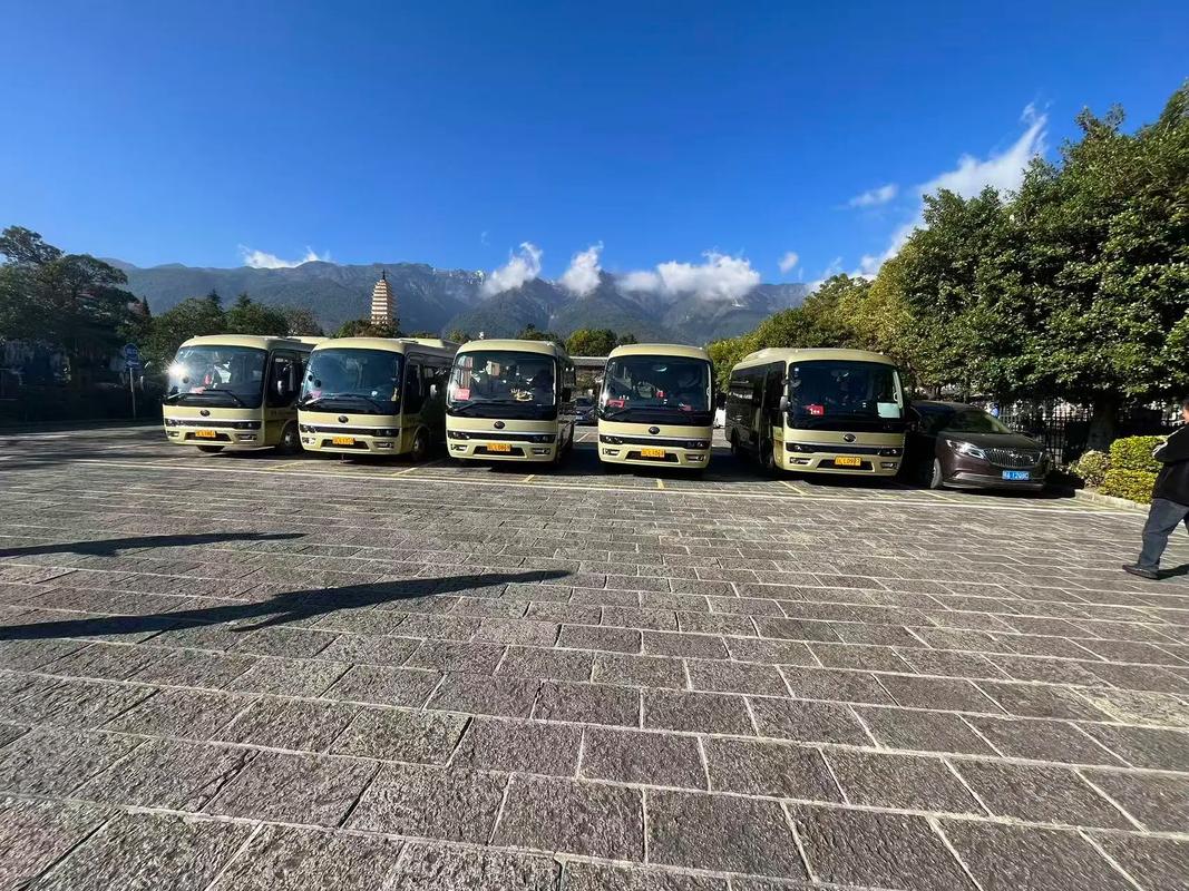 云南旅游包车#商务接待用车 #大理旅游包车#用服务赢得客户